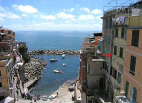 La tana di Grace